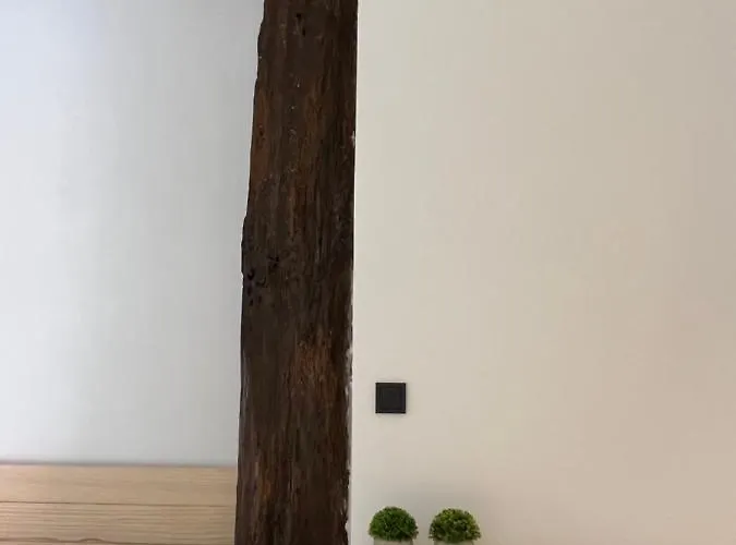 Апартаменти En El Casco Viejo *