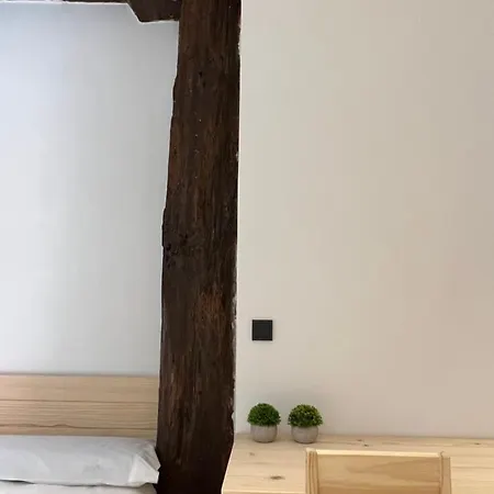 Lägenhet En El Casco Viejo *